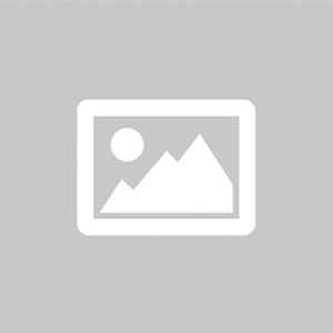  O ESTUDO DESMISTIFICADO A UMBANDA